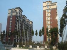 濰坊市和春住住宅樓，獲得2013年度濰坊市“優(yōu)質(zhì)結構杯質(zhì)量獎”